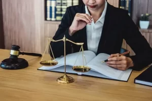 وکیل کیفری چیست