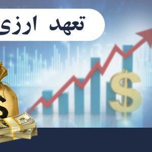 تعهد ارزی چیست | ویژگی های تعهد ارزی