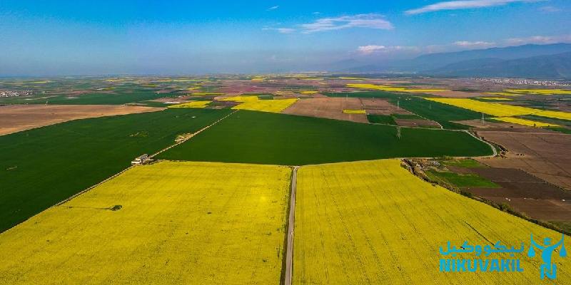 چگونگی اثبات مالکیت زمین بدون سند